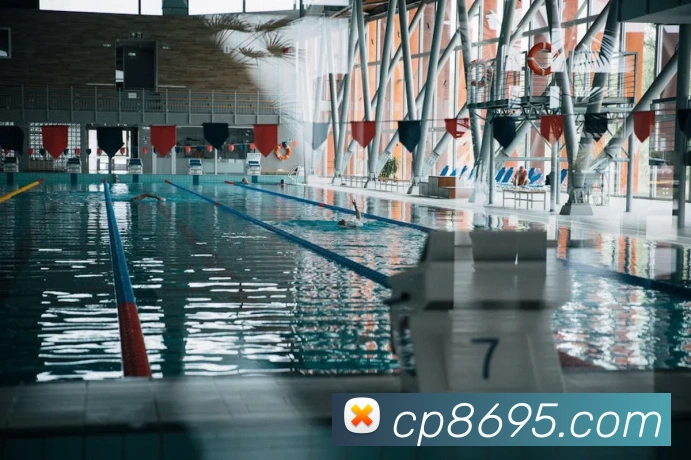 App Interface Preview